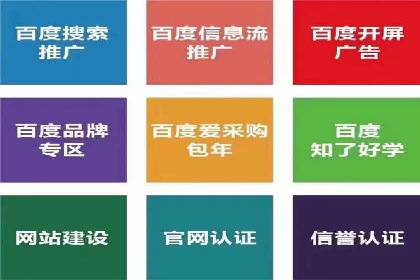SEM搜索引擎优化实战案例：从失败到成功的优化历程